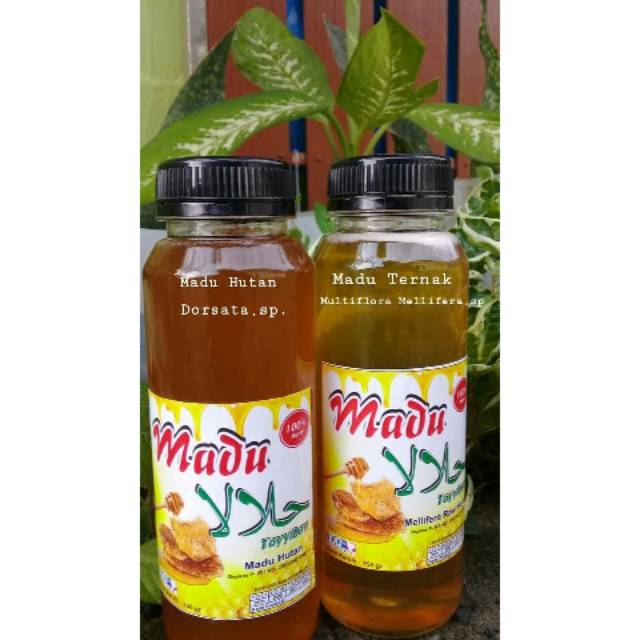

Madu Murni Toyyiban 350gram