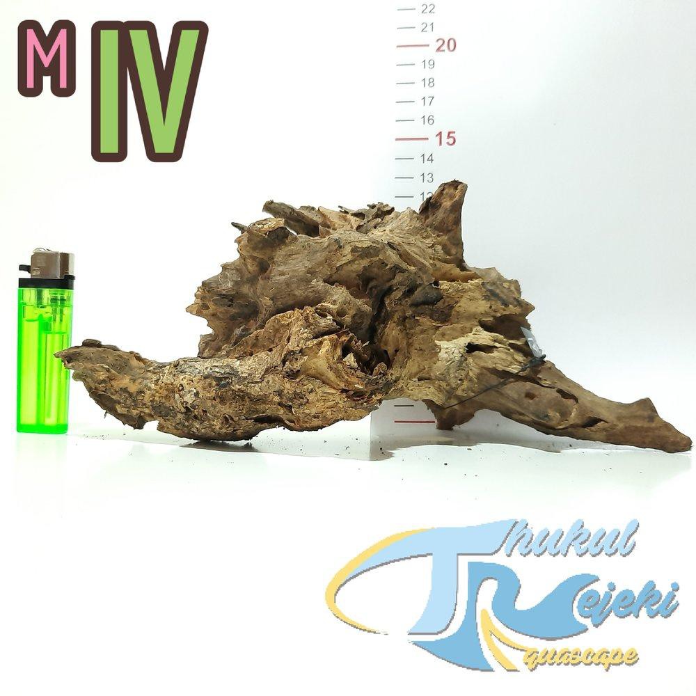 Kayu Rentek Aquascape dan Reptil Ukuran M Rasamala Jati Kayu Rentek Aquascape dan Reptil Ukuran M Rasamala Jati