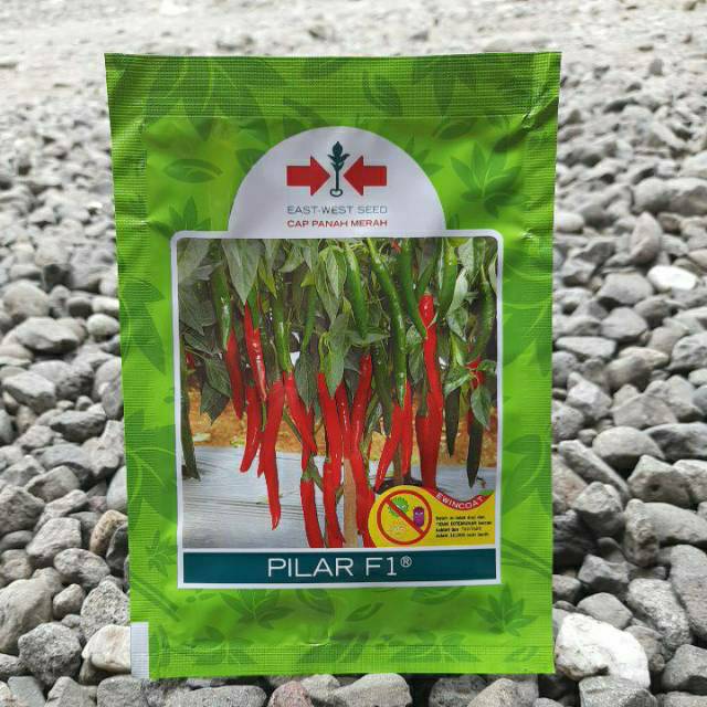 Benih Cabe Merah Besar PILAR F1 (125btr) Cap Panah Merah