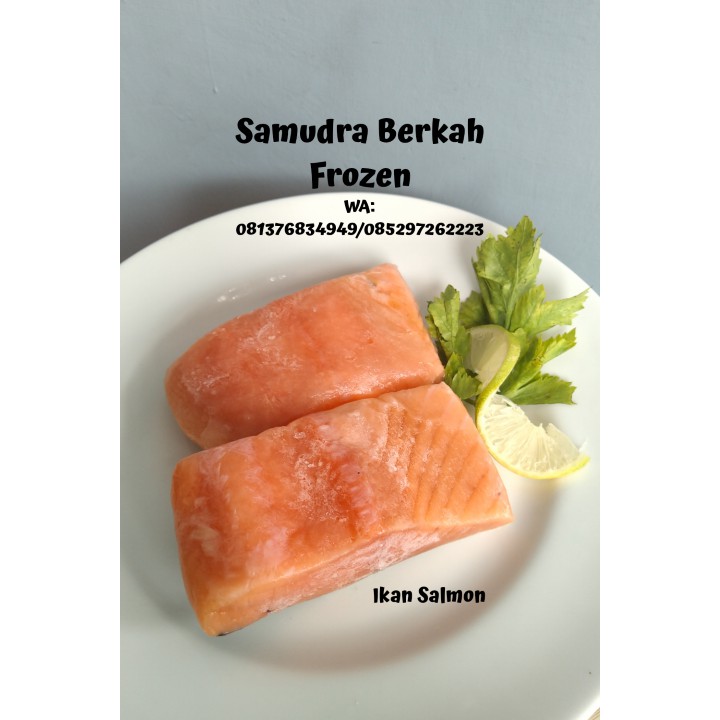 

salmon Norway Segar dan Beku