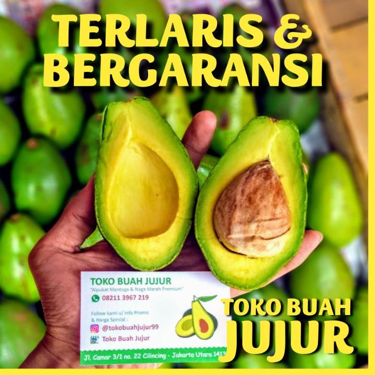 

✪Terbaru❈→ ALPUKAT MENTEGA SUPER 51