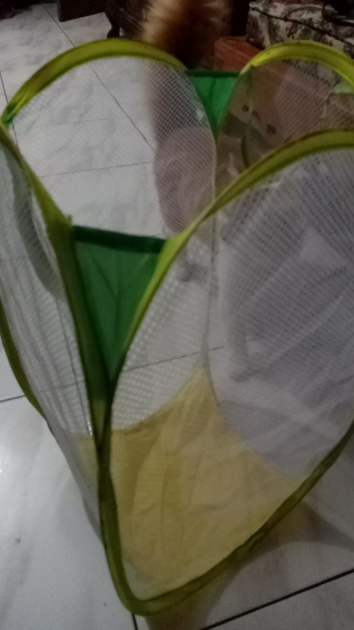 Keranjang Baju / Laundry Bag Polos