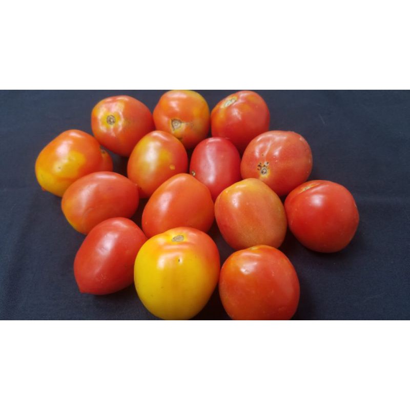 

Tomat 500gr