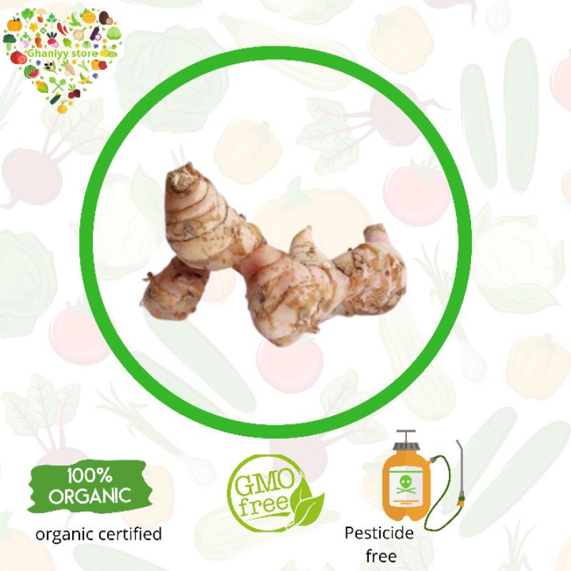 

sayur organik - lengkuas organik 250 gram
