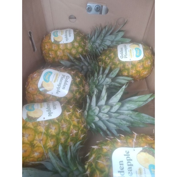 

nanas golden 1box isi 6 buah