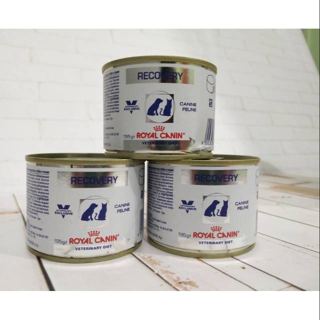 Pakan kucing royal canin recovery