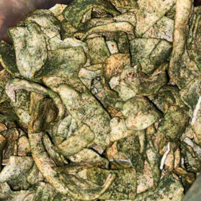 

Slondok kiloan aneka rasa