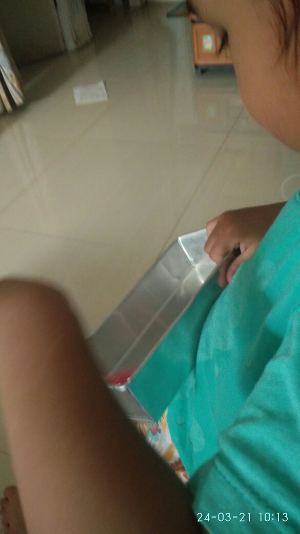 Cetakan Bunga Plastik 1tray