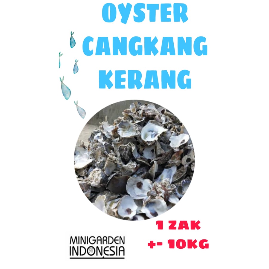 OYSTER ZAK KARUNG 10KG cangkang kerang tiram media filter kolam ikan koi oyster shell penetral PH aquarium