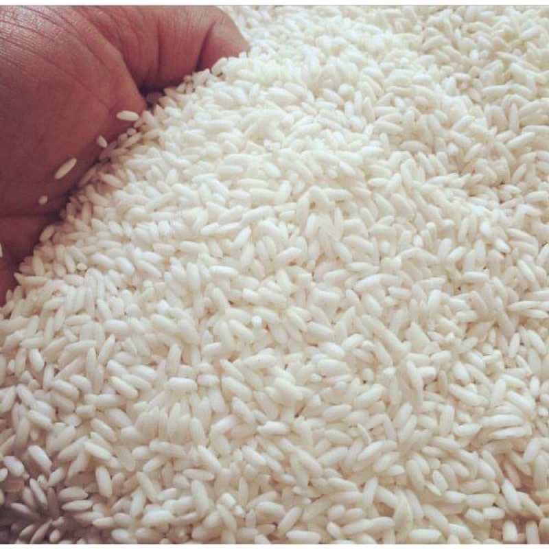 

Beras Ketan Putih kampung/ Pulut / Sipuluik 250 gr
