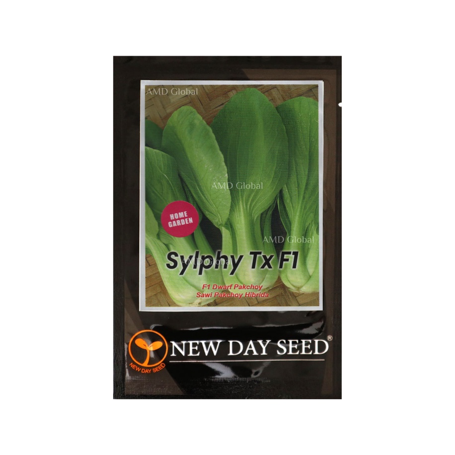 Benih Pakchoy / Sawi Sendok / Pakcoy Sylphy F1 New Day Seed