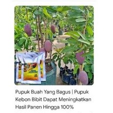 pupuk kebon bibit isi dua