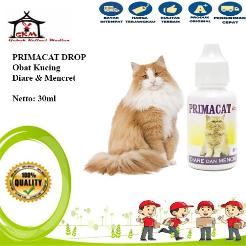 Primacat - Obat Diare dan Mencret untuk Kucing