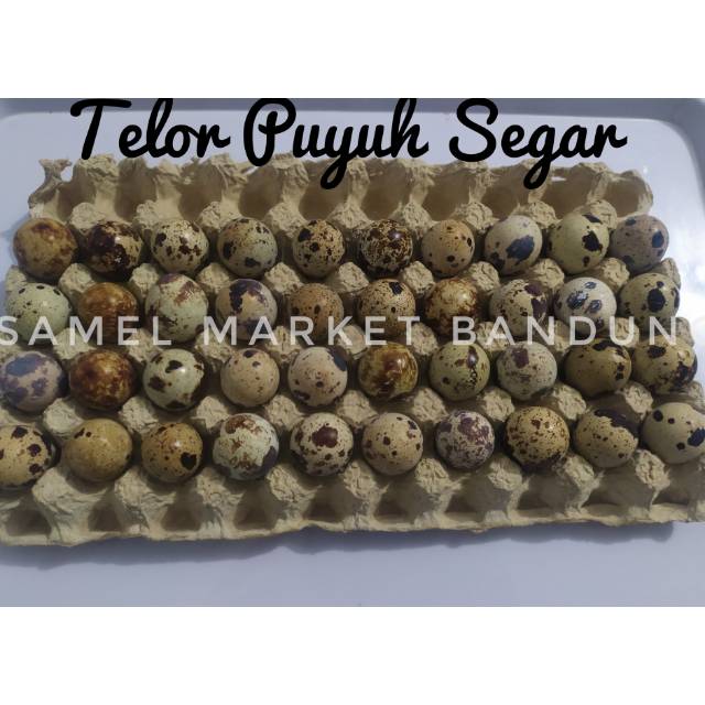 

Telur Puyuh 500 gr