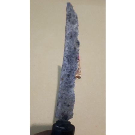 P. wedung kabudhan 1