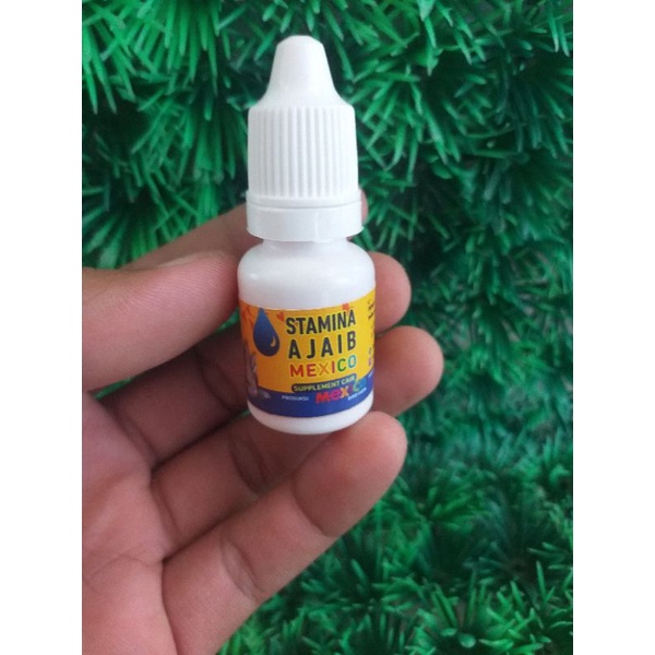 STAMINA AJAIB MERPATI