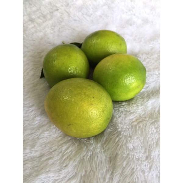 

Lemon Lokal Fresh