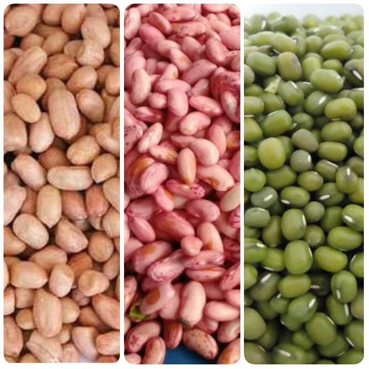

Kacang Tanah - Kacang Hijau - Kacang Merah