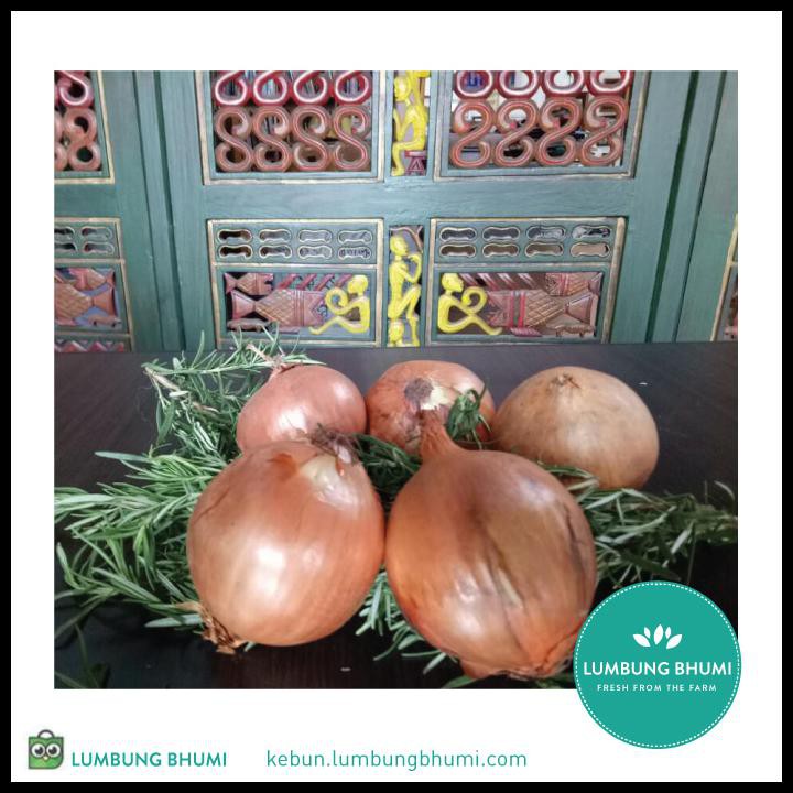 

HOT DEAL BAWANG BOMBAY / BOMBAI ( SAYUR - SAYURAN CURAH ) !!!!