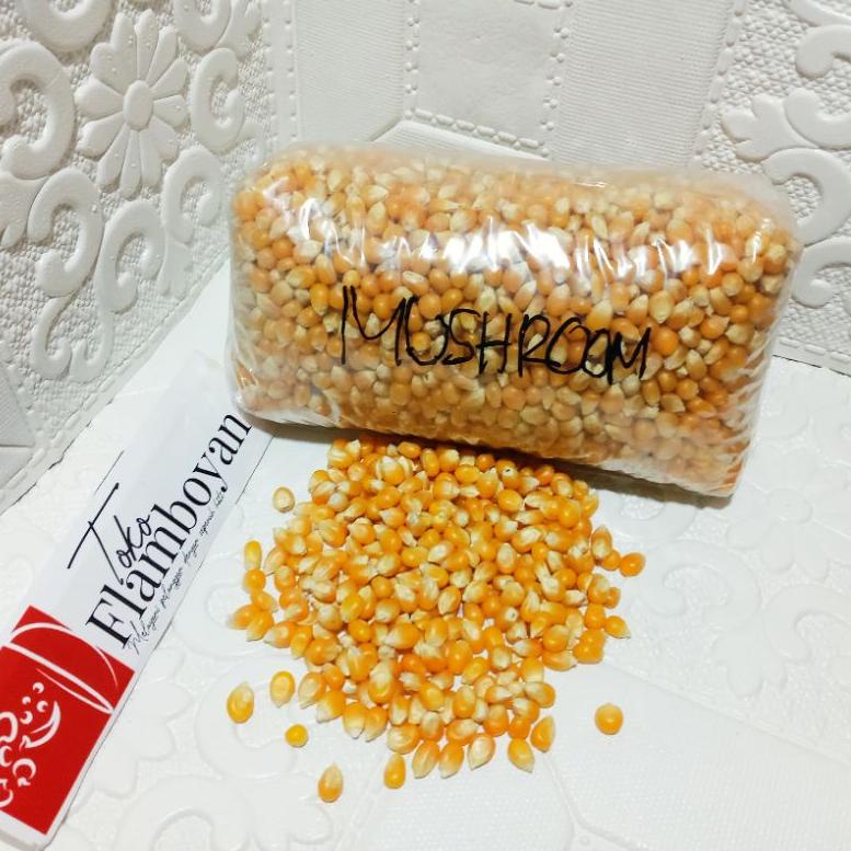 

[KODE Z9NK7] JAGUNG POPCORN MUSHROOM JUMBO 1KG