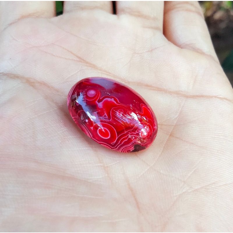 batu rubah merah original Banyuwangi