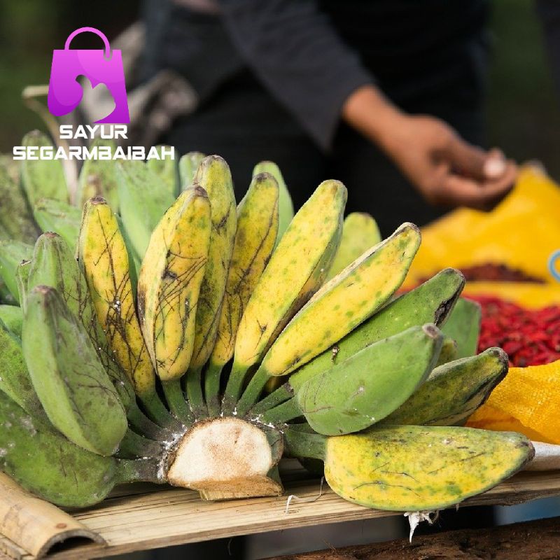 

pisang kepok