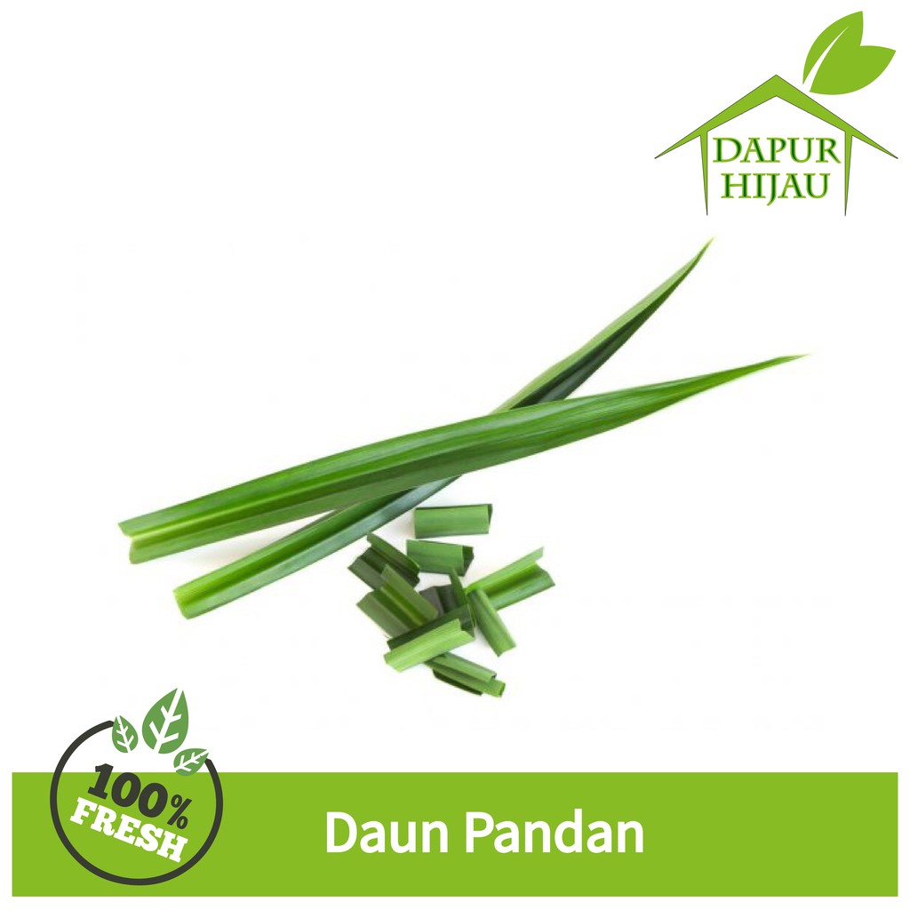 

Daun Pandan - Daun Pandan Segar 1 Ikat - Daun Pandan Organik