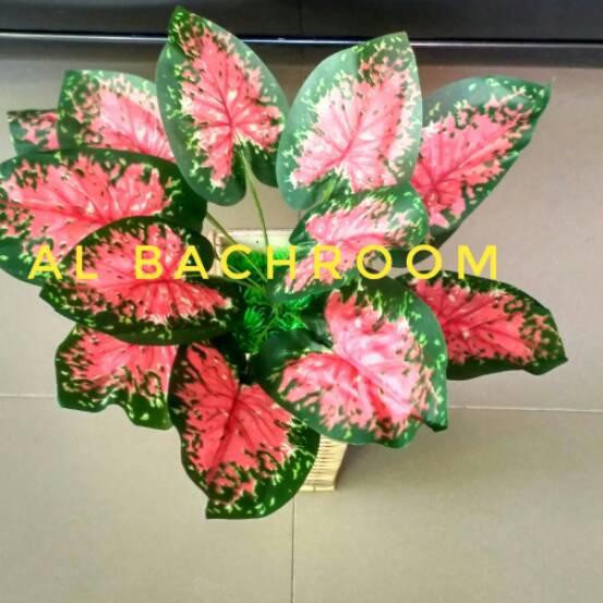 χ¢ JR033 ¢о TANAMAN KELADI MERAH HIAS ARTIFICIAL7 Ξцо¢цΞ ...