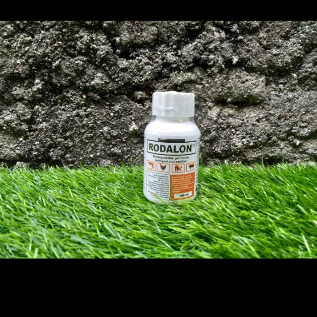 Rodalon anti septik