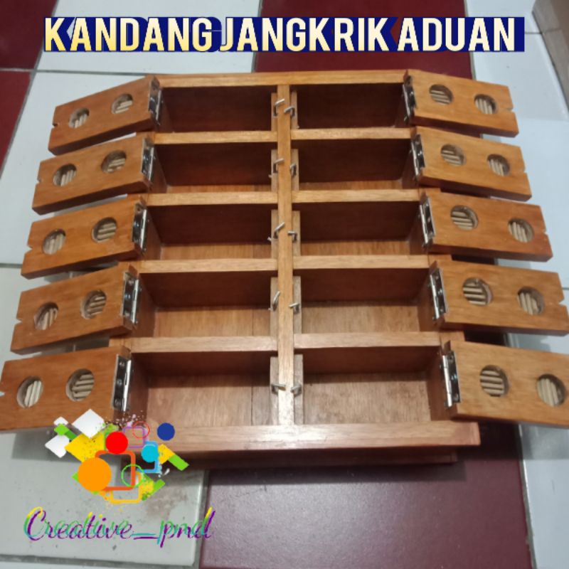 kandang jangkrik aduan kayu 10 slot - kandang jangkrik petarung