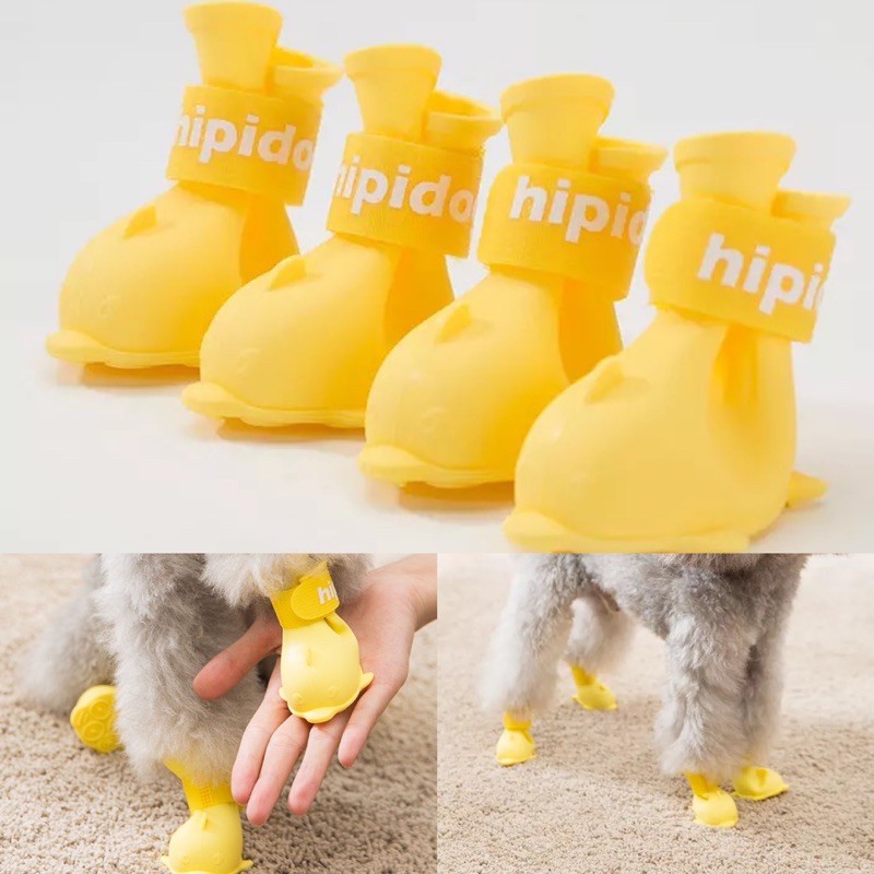 hipi no wet shoes for dog