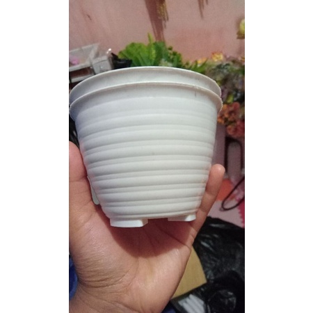 POT TAWON/POT TAWON PUTIH /POT TAWON 10CM /POT TAWON KECIL/POT MADU 10 CM