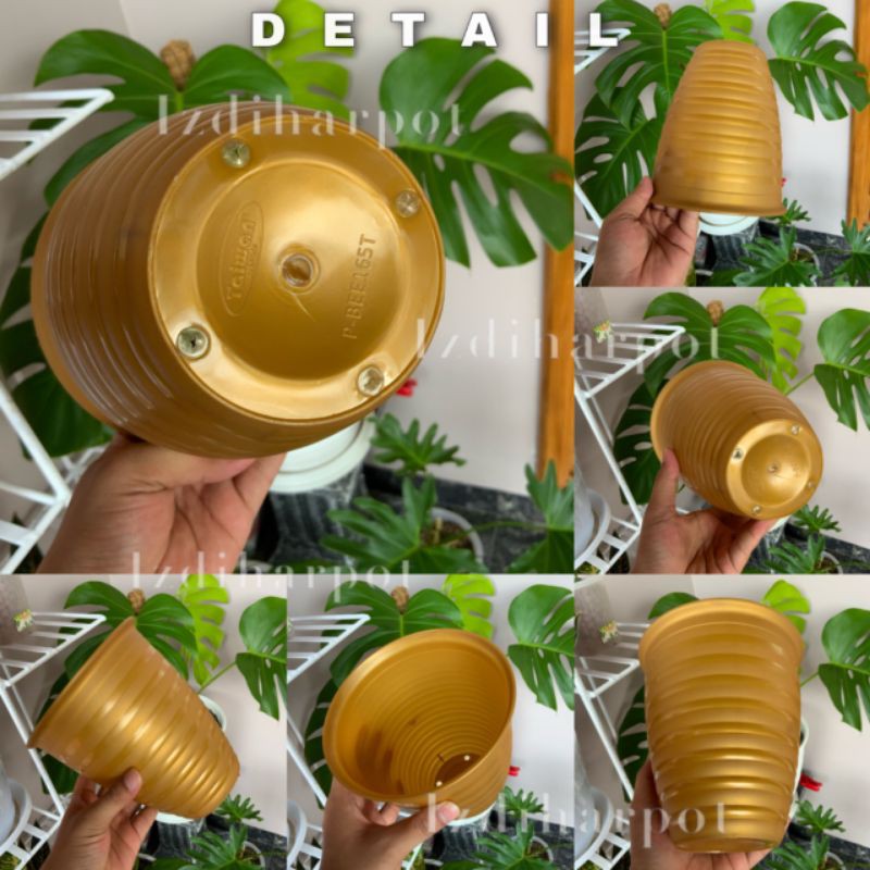 Pot bunga tanaman tawon gold tinggi 18 cm - taiwan BEE 185T GOLD