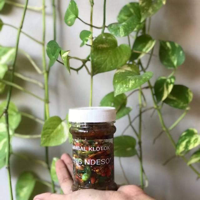 

Sambal klotok wong ndeso