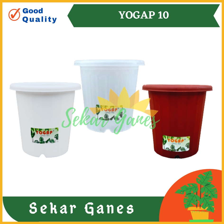 Sekarganes Pot Yogap 10 Putih Transparan Bening Merah Bata Pot Yogap 8 10 13 15 17 18 Murah Pot Coklat Bata Clear