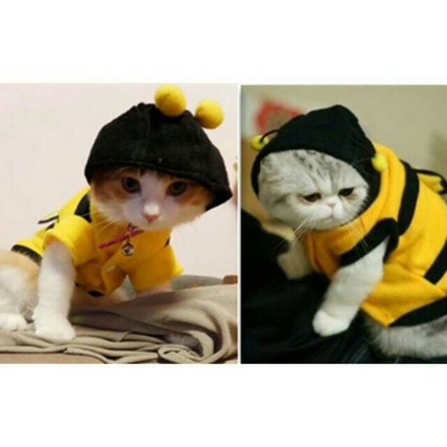 hoodie anjing kucing baju kostum lebah bee kuning