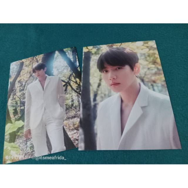 [RARE SHARING GOODS] POSTCARD EXO THE ELYXION