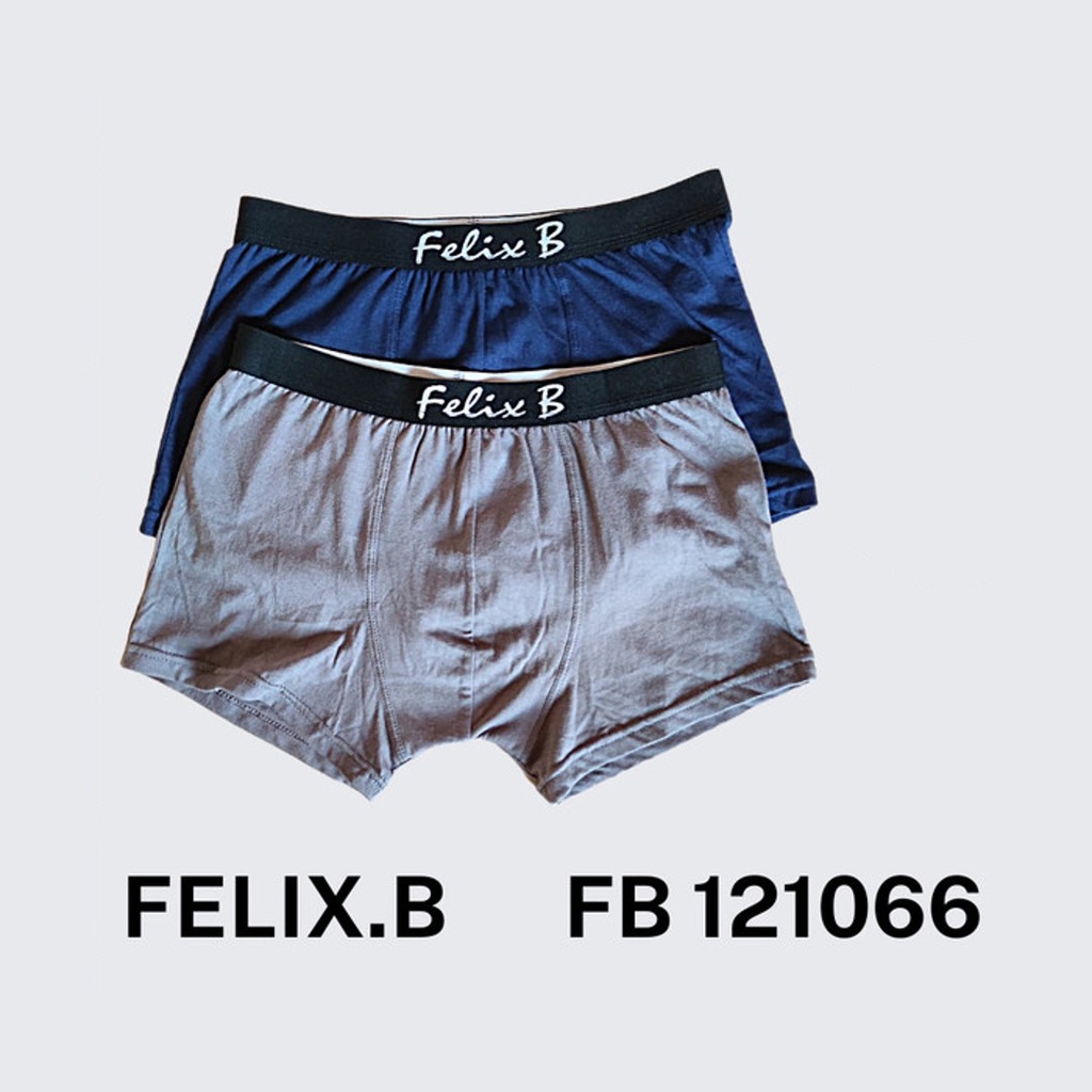 Celana Boxer Pria Felix.B FB 121066 ISI-2 PCS