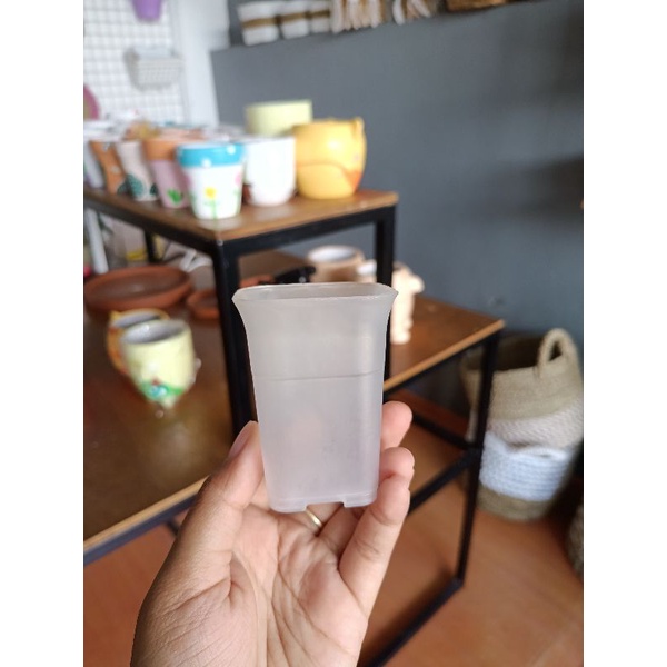 Pot NKT 5 bening - pot NKT bening - pot NKT mini