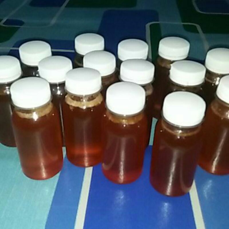 

madu lebah asli