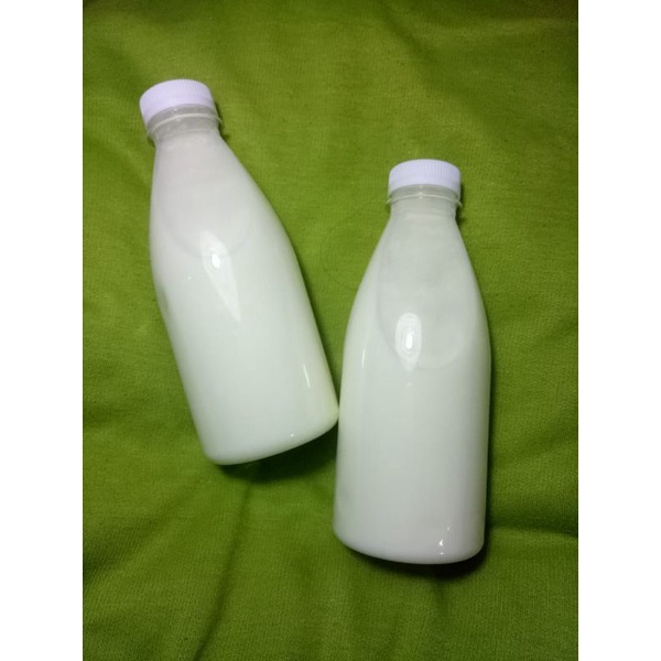 

Susu Sapi Fresh Dari Perternakan