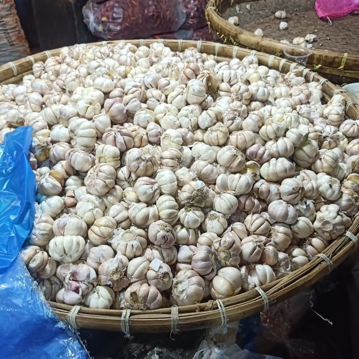 

Jual Bawang Putih 1 Kg Diskon