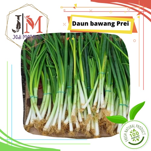 

[JM SoFresh] - Daun Bawang Prei