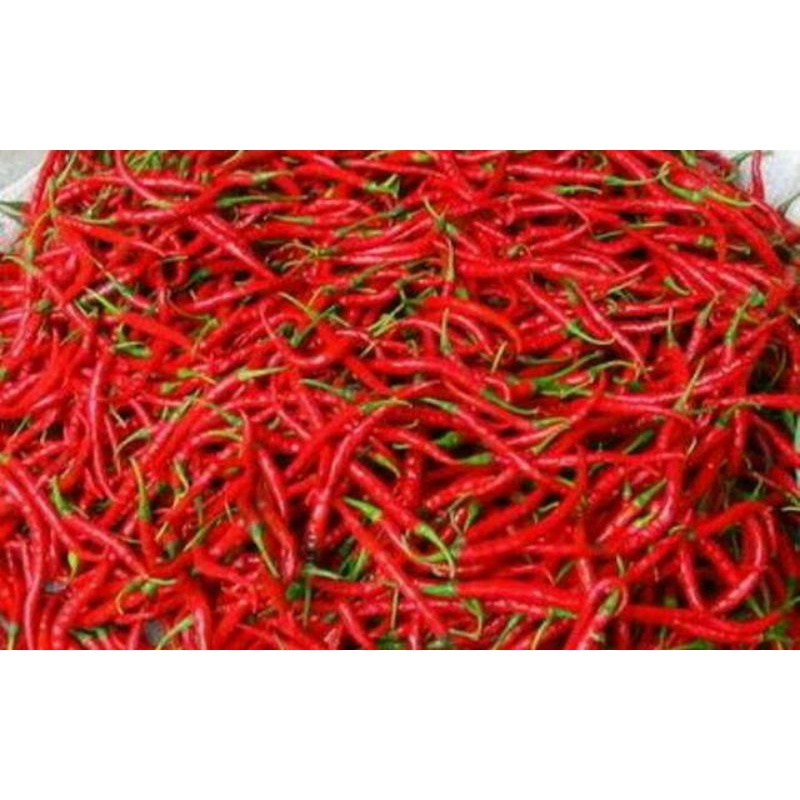 

cabai merah 1/2kg