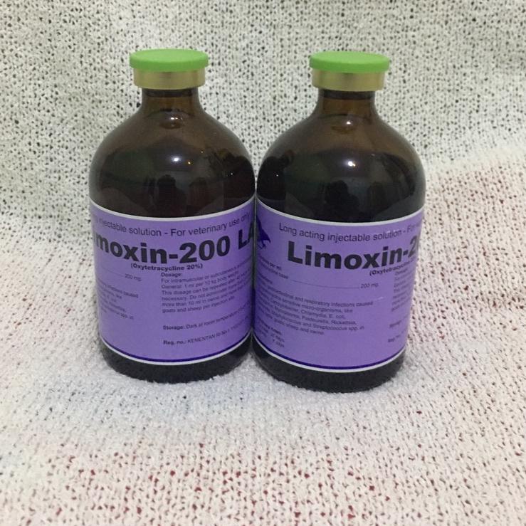 Terbagus.. Limoxin 200 LA antibiotik PMK - antibiotik oxytetracyclin untuk sapi anjing kucing ayam