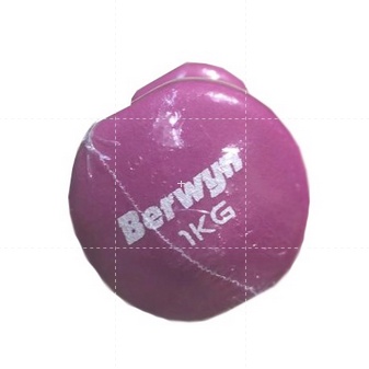 Berwyn Dumbbell 1kg Neoprene Pink Peralatan Olahraga Barbel Warna Alat Olahraga Tangan Barbell