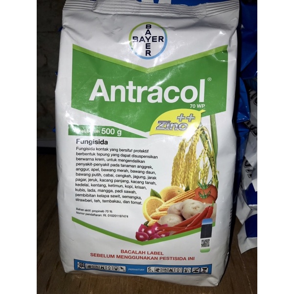 

Fungisida ANTRACOL 70 WP | 500 gr