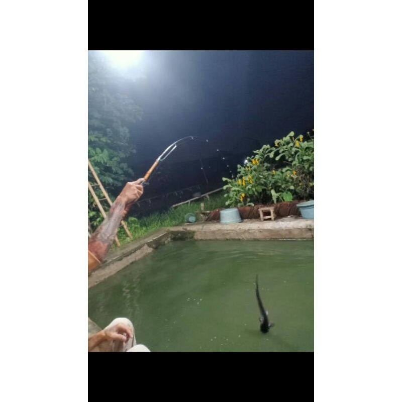 ujung joran x wrap / ulir  ,red ocean.. 17lb spek.untuk gt emas atau harian nyimas tombro