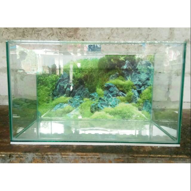 Aquarium Kaca Murah Berkualitas Ready Stock Ukuran P 40 X L 20 X T 25 Cm Shopee Indonesia