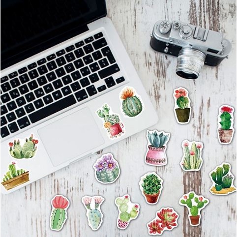 Green Succulent Paper Sticker (10pcs)